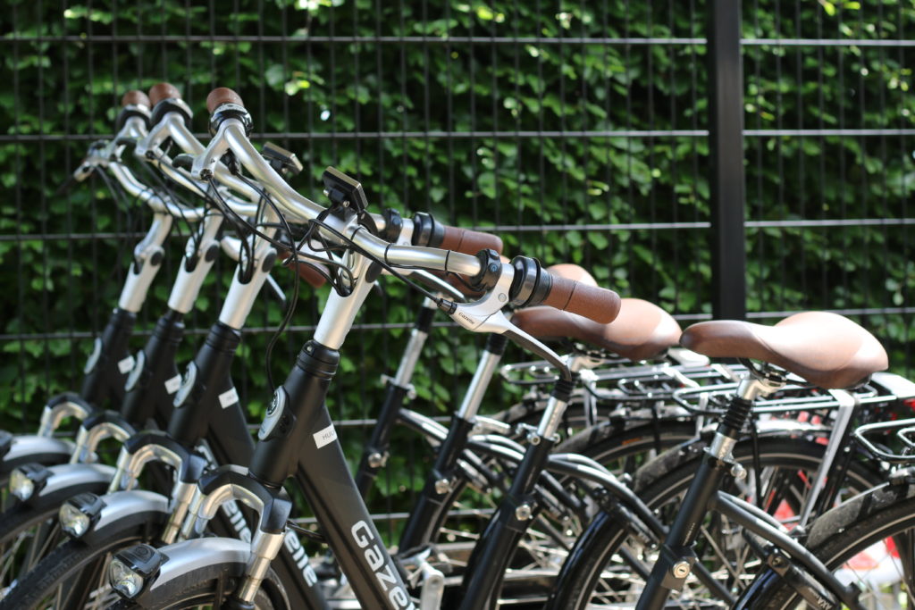 Fietsen Hotel De Roode Schuur