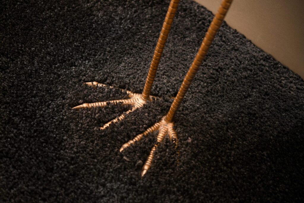 FotoXperience-woningfotografie DSC_5429